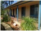Medowie NSW 2318