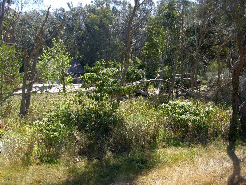 Salt Ash NSW 2318
