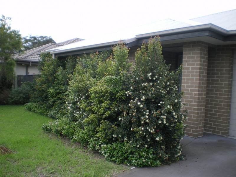 5 Wingen Street, Fern Bay NSW 2295
