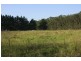 67A Abundance Rd, Medowie NSW 2318