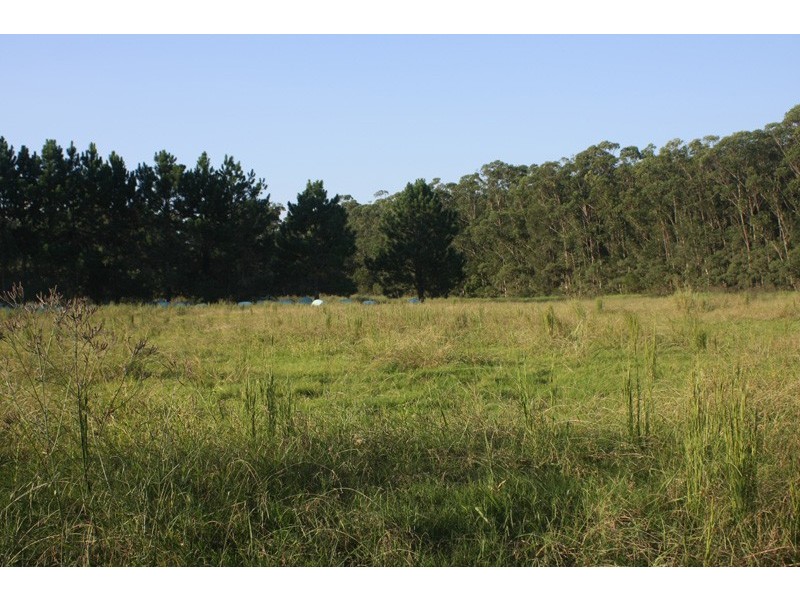 67A Abundance Rd, Medowie NSW 2318