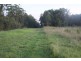 67A Abundance Rd, Medowie NSW 2318