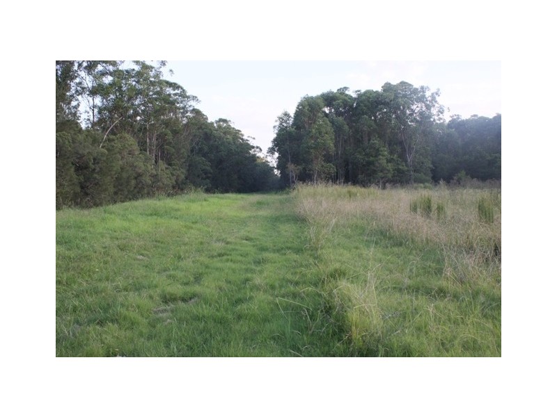 67A Abundance Rd, Medowie NSW 2318