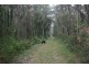 67A Abundance Rd, Medowie NSW 2318