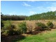 67A Abundance Rd, Medowie NSW 2318