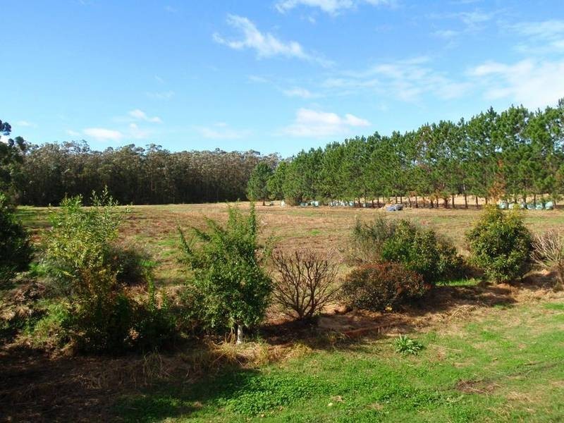 67A Abundance Rd, Medowie NSW 2318