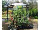 67A Abundance Rd, Medowie NSW 2318