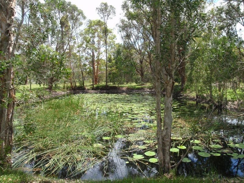 25 Shady Ave, Salt Ash NSW 2318