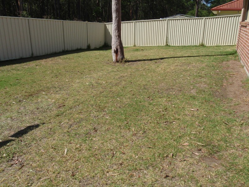 Medowie NSW 2318