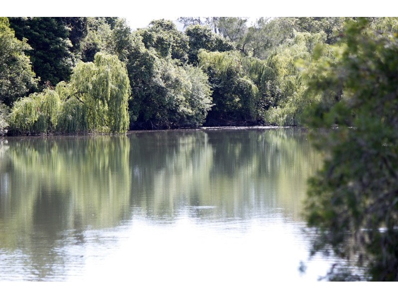 Lot 3, 1286 Limeburners Creek Rd, Clarence Town NSW 2321