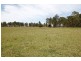 Lot 7, 1286 Limeburners Creek Rd, Clarence Town NSW 2321