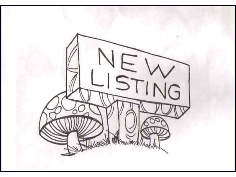 130 Douglas Street, Stockton NSW 2295