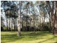 13A Kula Road, Medowie NSW 2318