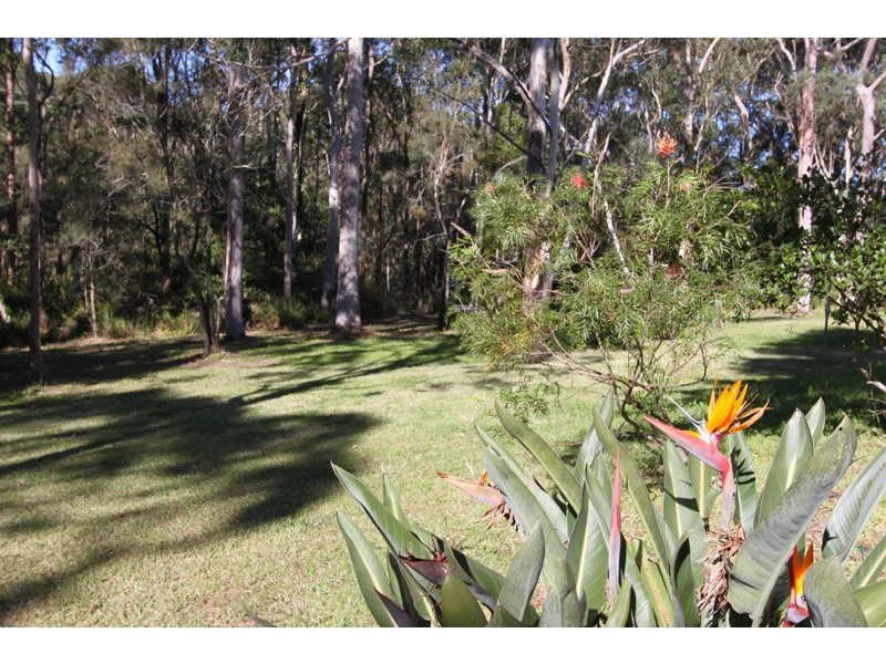 40 Kirrang Drive, Medowie NSW 2318