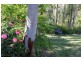 40 Kirrang Drive, Medowie NSW 2318