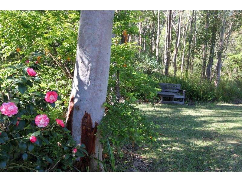 40 Kirrang Drive, Medowie NSW 2318