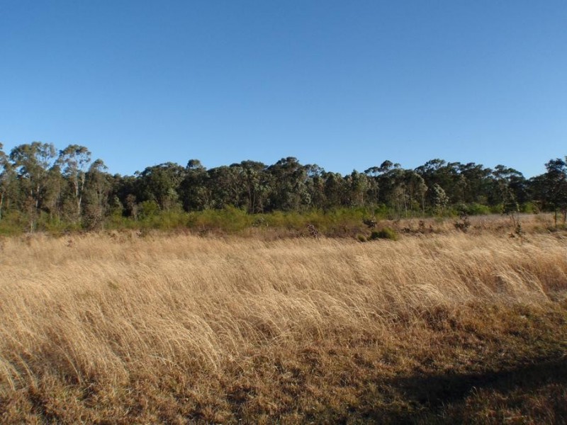 70 Lisadell Road, Medowie NSW 2318