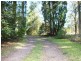 Medowie NSW 2318