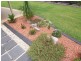 88 South Street, Medowie NSW 2318