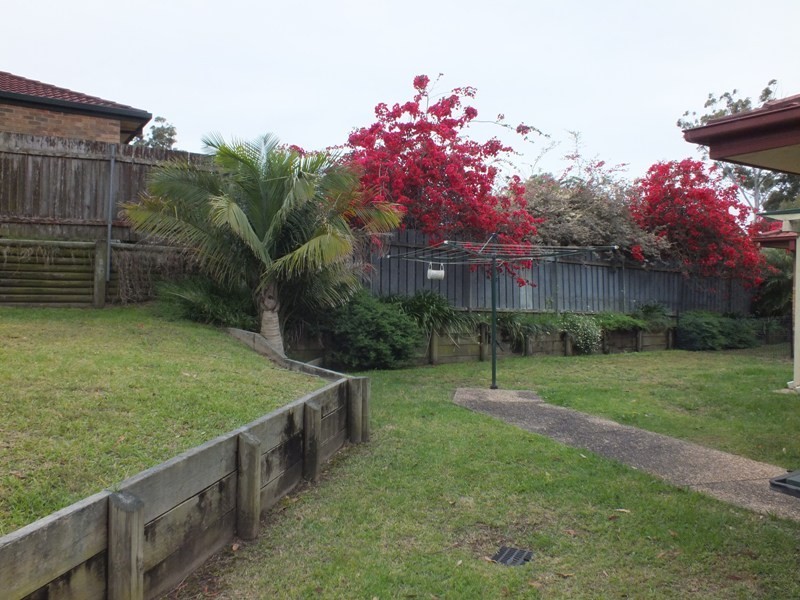 7 Warabi Close, Medowie NSW 2318