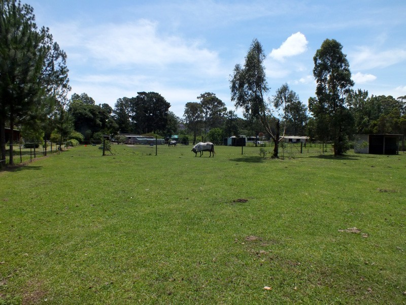 59 Abundance Rd, Medowie NSW 2318