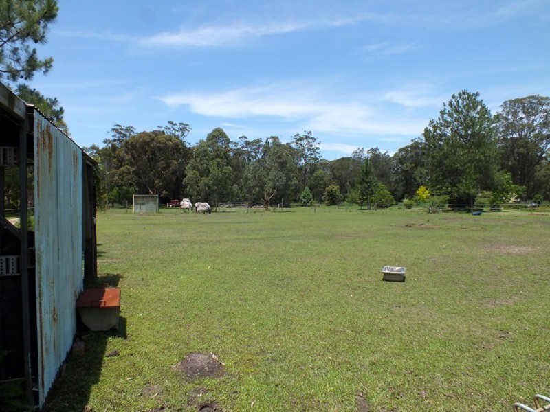59 Abundance Rd, Medowie NSW 2318