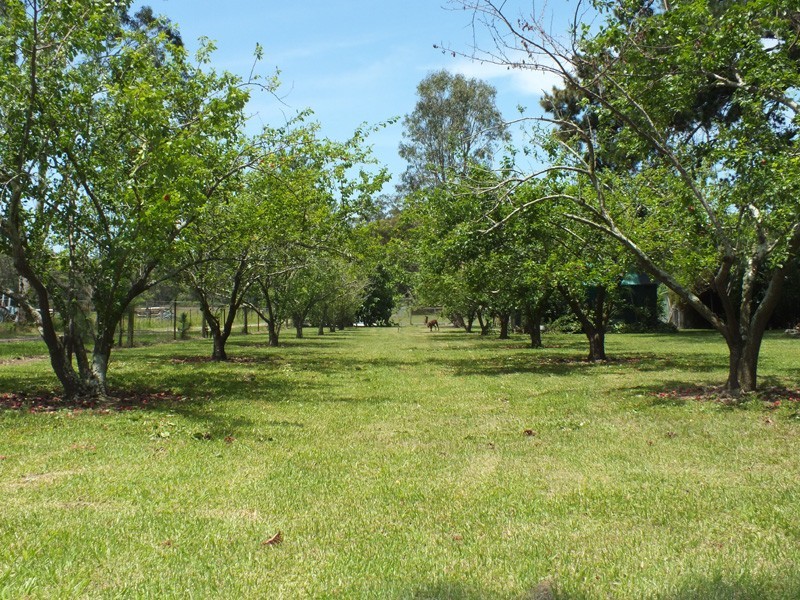 59 Abundance Rd, Medowie NSW 2318