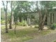 37 Lewis Drive, Medowie NSW 2318