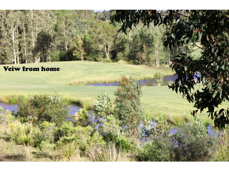 20 Sunningdale Circuit, Medowie NSW 2318