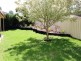 41 Robina Avenue, Medowie NSW 2318