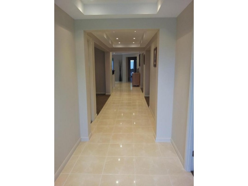 27 Osprey Circuit, Medowie NSW 2318