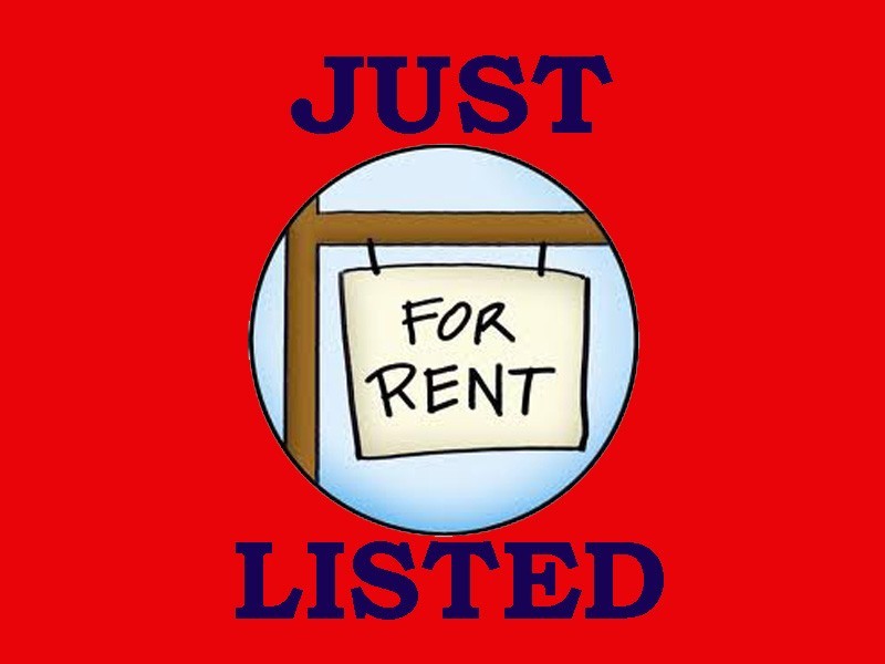 1 David Drive, Salt Ash NSW 2318