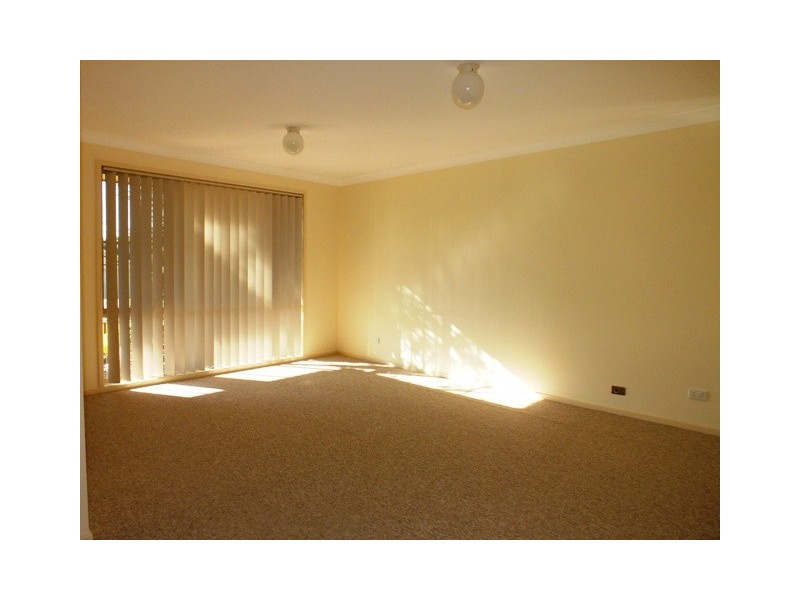 41 Dangar Circuit, Medowie NSW 2318