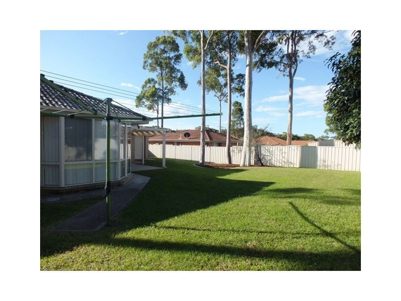 41 Dangar Circuit, Medowie NSW 2318