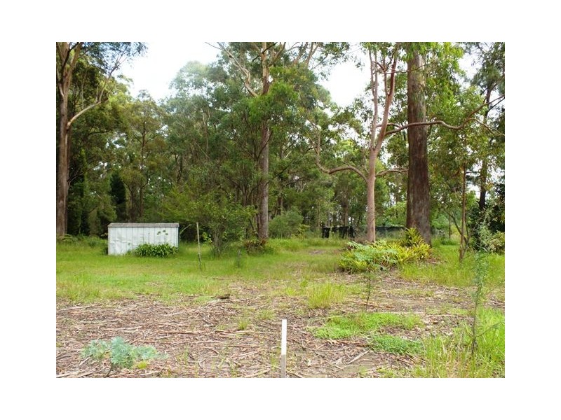 37 Brocklesby Road, Medowie NSW 2318