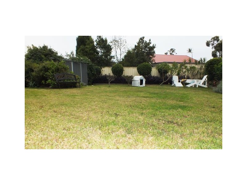 6 Sandalwood Drive, Medowie NSW 2318