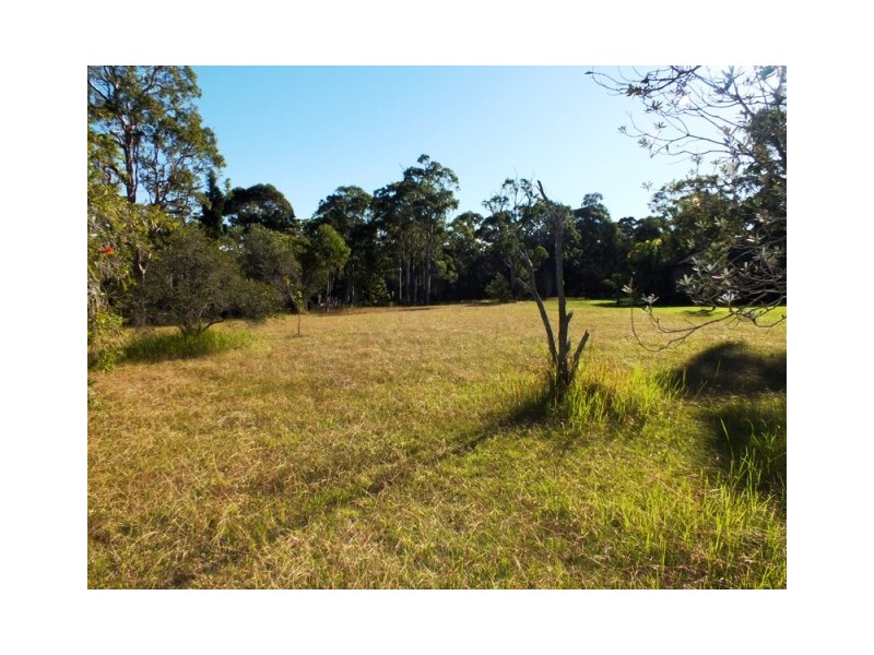 11A Evans Road, Medowie NSW 2318
