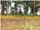 82 South Street, Medowie NSW 2318