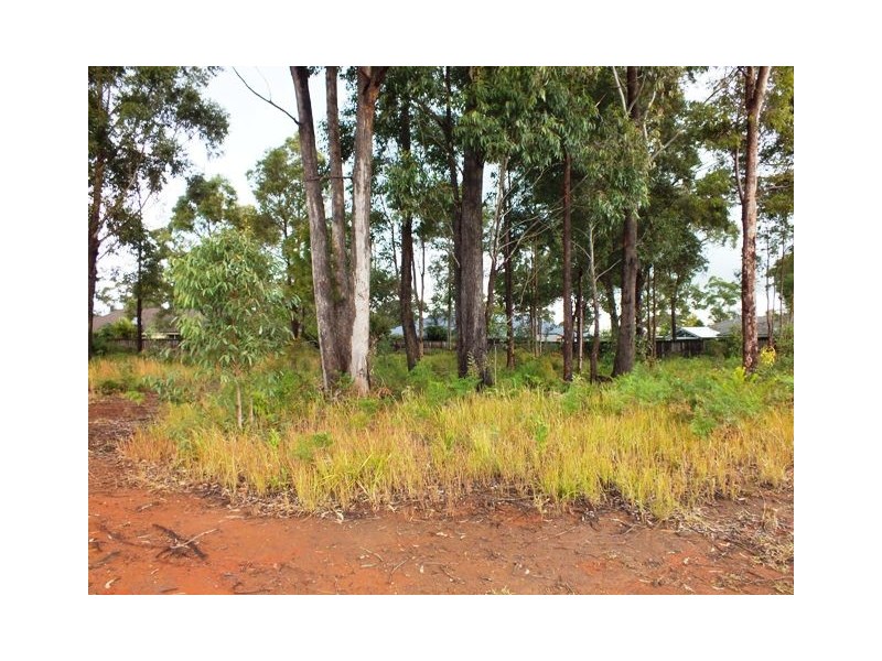 82 South Street, Medowie NSW 2318