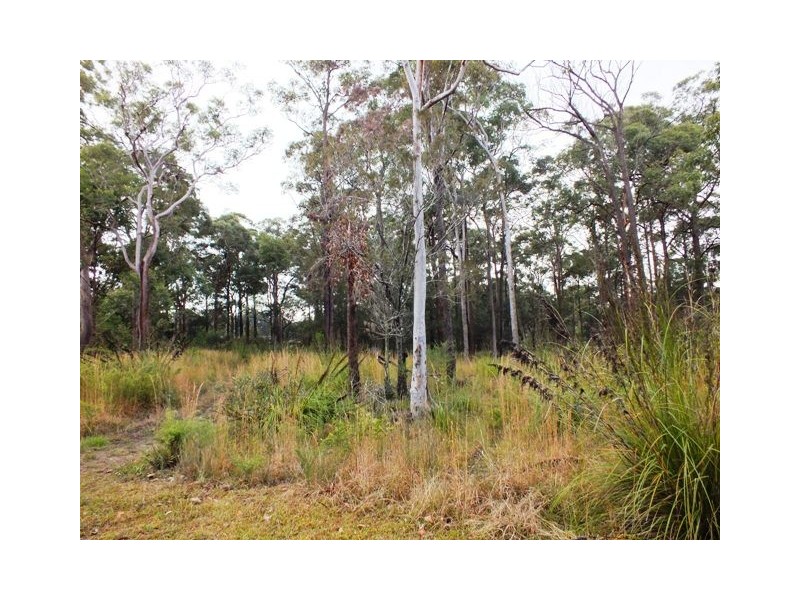 15 Settlers Close, Medowie NSW 2318