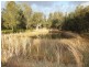390 Lemon Tree Passage Road, Salt Ash NSW 2318