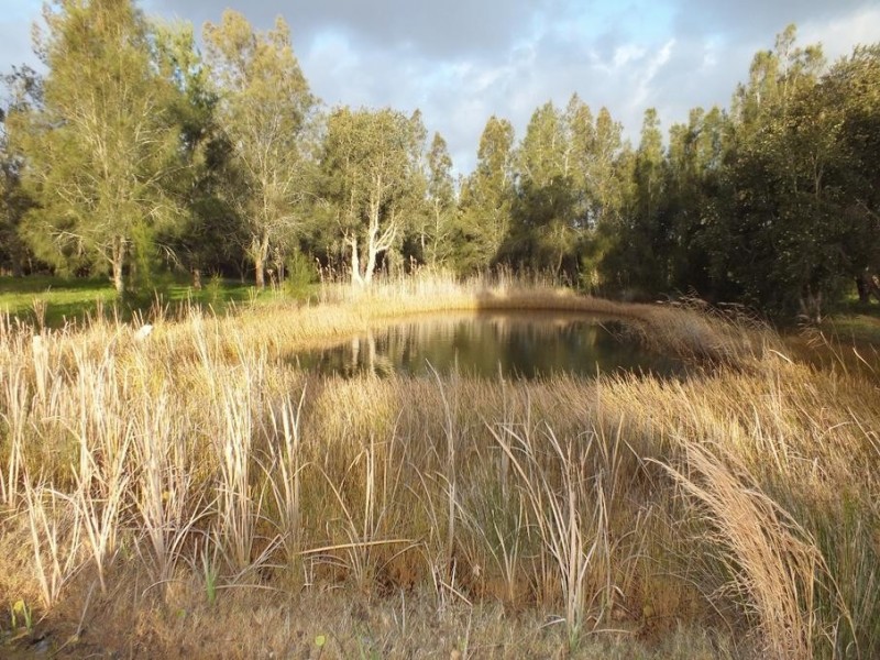 390 Lemon Tree Passage Road, Salt Ash NSW 2318