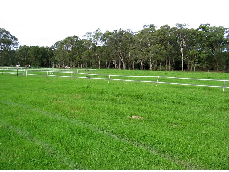 205 Lemon Tree Passage Road, Salt Ash NSW 2318
