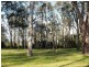 13A Kula Road, Medowie NSW 2318