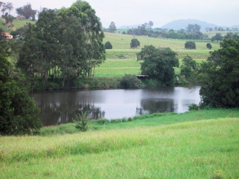 . WILLIAMS RIVER ESTATE, Clarence Town NSW 2321