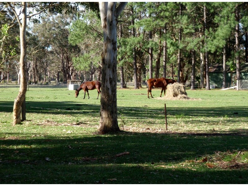 121 Lemon Tree Passage Road, Salt Ash NSW 2318