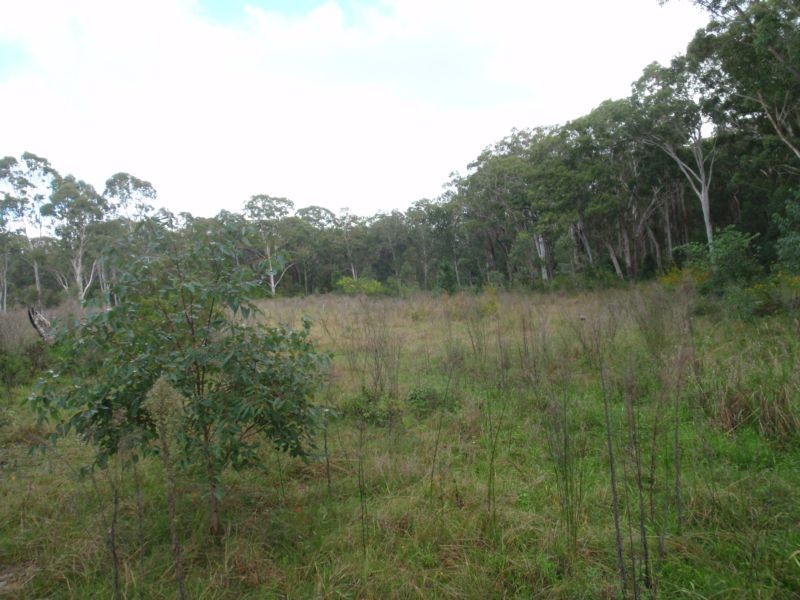 813 Medowie Road, Medowie NSW 2318