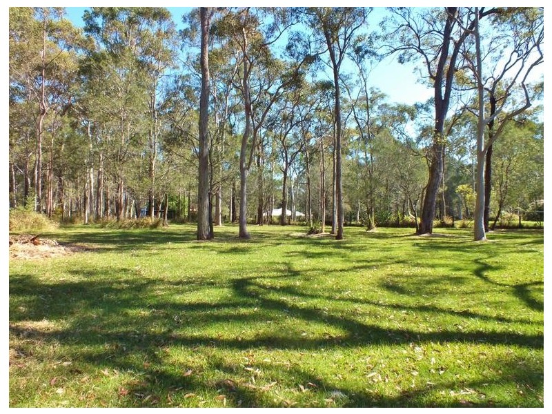 11 Griffiths Avenue, Medowie NSW 2318