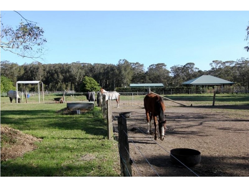 3 Kingfisher Close, Medowie NSW 2318