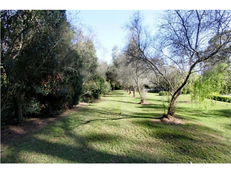 3 Kingfisher Close, Medowie NSW 2318